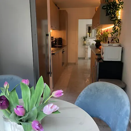 Stunning Monaco View Large Terrace 70 Sqm Appartement